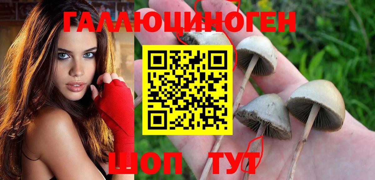 Галлюциногенные грибы мицелий  Вход с VPN  купить   Братск 