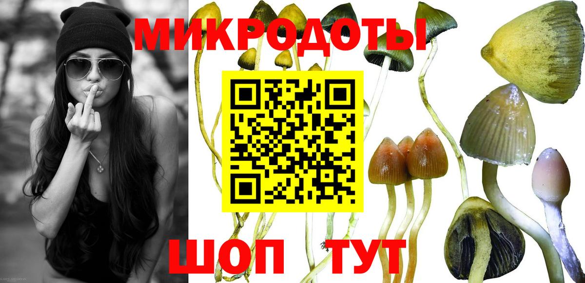 Псилоцибиновые грибы мухоморы Братск